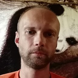 ����, �����-���������, 40 ���