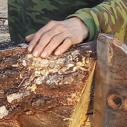 ������, ������, 62 ����