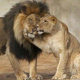 ���� �������, ������, 37 ��� - ��������� 13 ��� 2023