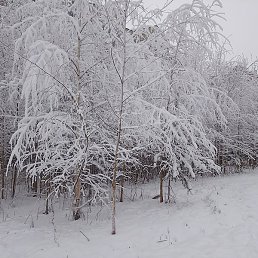 ����, �����-���������, 25 ���