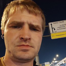 B.c.lesnik, ������, 41 ���