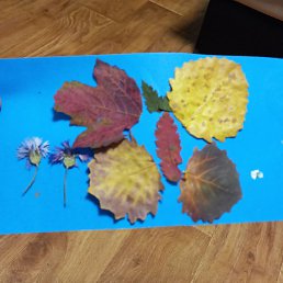 ����, ������������, 38 ���