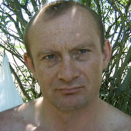 ������, ����� (�������), 54 ����