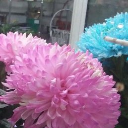 �, �����������, 32 ����