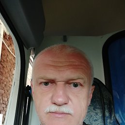 , 53 , 