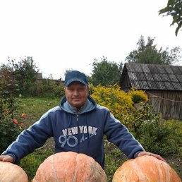 ���� ���������, ��������, 64 ���� - ��������� 1 ���� 2023