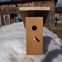 ���� ���������, ������, 55 ��� - ��������� 11 ���� 2023