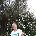 ���� ����, ������, 81 ��� - ��������� 31 ������� 2023 � ������ ���� ����������
