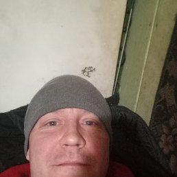 ���� ����, ����������, 42 ���� - ��������� 20 ������� 2023