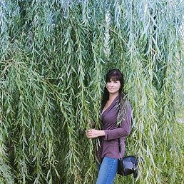 ����, �����-4, 39 ���