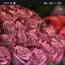 ���� ��������, �������, 58 ��� - ��������� 18 ���� 2023 � ������ ���� ����������