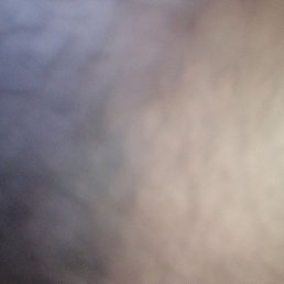 �����, ������, 40 ���