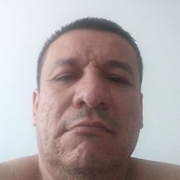 ����, ������, 48 ���