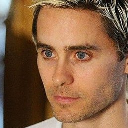 �����, �����������, 46 ���