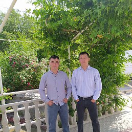 �����, ������, 35 ���