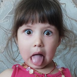 �����, ������, 44 ����