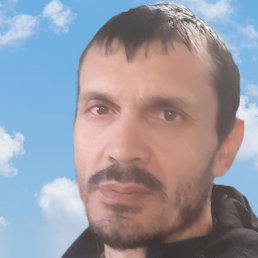 ������, ������, 37 ���