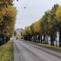 �����, �����-���������, 38 ���