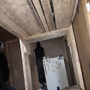 ���� Burhonov Shohruh, ������, 21 ��� - ��������� 28 ������� 2023 � ������ ���� ����������
