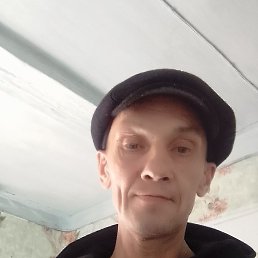 ������, ������, 51 ���