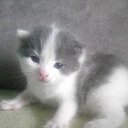 ���� �������, ����������, 59 ��� - ��������� 4 ���� 2023