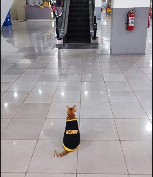 ����� ������������ �� ������� ������ � � �������� ������)))