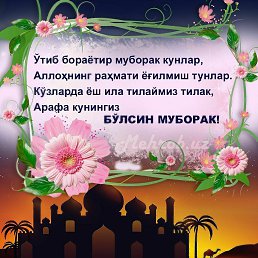 ���� Izzatillo, �����������, 27 ��� - ��������� 14 ������� 2023