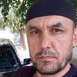 �����, ����������, 50 ���