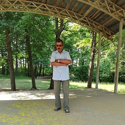 ����, �����, 71 ���