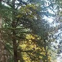  , - , 48  -  6  2023    