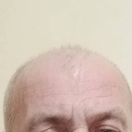 ������, ������, 55 ���