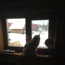 ���� �������, ������������, 56 ��� - ��������� 11 ����� 2023