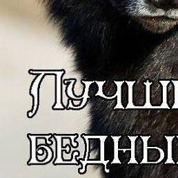 ����, ������, 36 ���