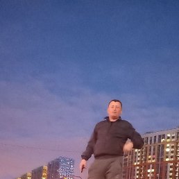 ����, �����-���������, 46 ���