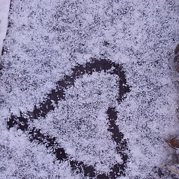 ���, ������, 46 ���