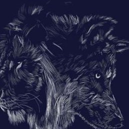 Saq, ������, 38 ���