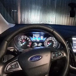 �����, �����-���������, 40 ���