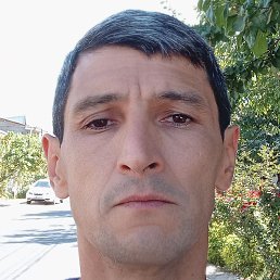 Umid, �����, 43 ����