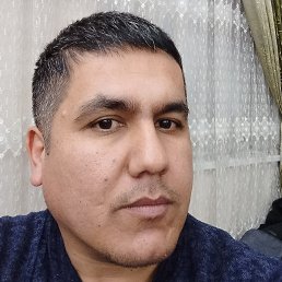 Zokir, , 41 