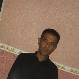 �����, ������, 41 ���