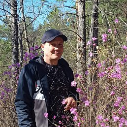 ������, ������, 50 ���