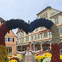 ���� ���������, ������, 52 ���� - ��������� 28 ���� 2023