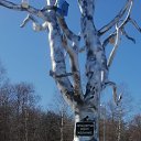 ���� �������, �����-���������, 48 ��� - ��������� 2 ��� 2023