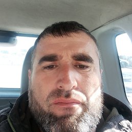 ������, �����������, 40 ���