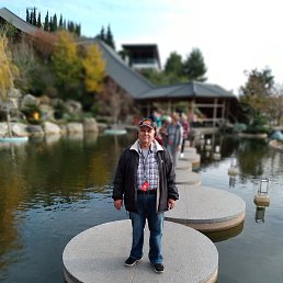 ���������, ����, 73 ����