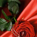 ���� Krasafchik 01, ������, 24 ���� - ��������� 21 �������� 2023 � ������ ���� ����������
