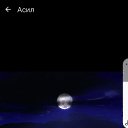 ���� ��������, ������, 40 ��� - ��������� 16 ������� 2023 � ������ ���� ����������