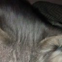 ���� ������, ������, 25 ��� - ��������� 9 ��� 2023 � ������ ���� ����������