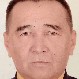 �����, ������, 65 ���