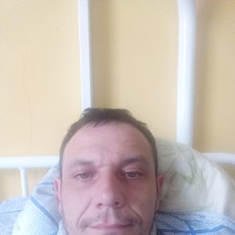 ���� �����, ����, 38 ��� - ��������� 8 ������ 2023